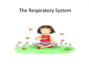 Respiratory system