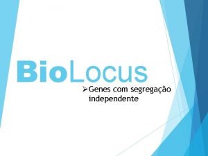 Bio Locus Genes com segregao independente Lei da