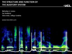 THE STRUCTURE AND FUNCTION OF THE AUDITORY SYSTEM