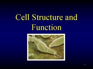 Cell Structure and Function 1 Cell Theory 1