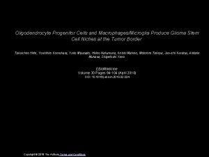 Oligodendrocyte Progenitor Cells and MacrophagesMicroglia Produce Glioma Stem
