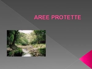 AREE PROTETTE La distruzione della natura inizia undicimila