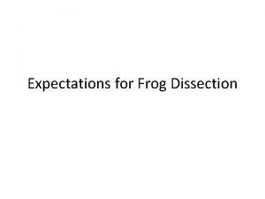 Expectations for Frog Dissection When you arrive Upon