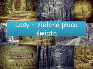 Lasy zielone puca wiata Spis treci Wstp Dlaczego