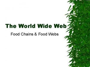How does the food chain go