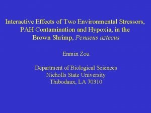 Interactive Effects of Two Environmental Stressors PAH Contamination