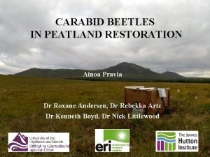 CARABID BEETLES IN PEATLAND RESTORATION Ainoa Pravia Dr