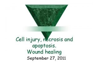 Cell injury necrosis and apoptosis Wound healing September