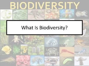 Biodiversity levels