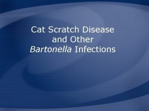 Cat Scratch Disease and Other Bartonella Infections Overview