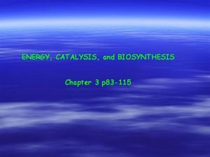 Energy catalysis and biosynthesis