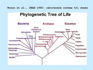 Woese et al PNAS 1990 zakoenn schma t