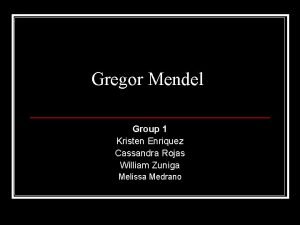 Mendel group
