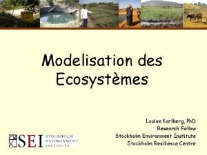 Modelisation des Ecosystmes Louise Karlberg Ph D Research