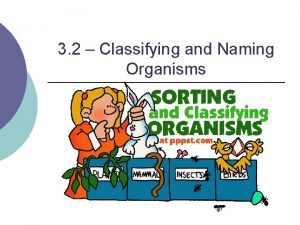 3 2 Classifying and Naming Organisms The Classification