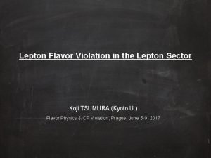 Lepton Flavor Violation in the Lepton Sector Koji