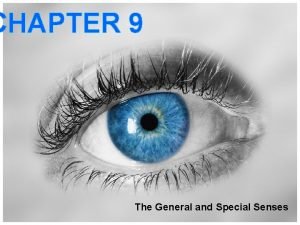 The general and special senses chapter 9