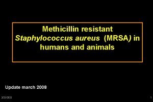 Methicillin resistant Staphylococcus aureus MRSA in humans and