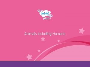 Animals Including Humans Year One I can name