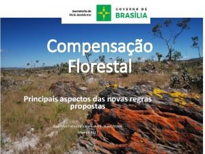 Compensao Florestal Principais aspectos das novas regras propostas