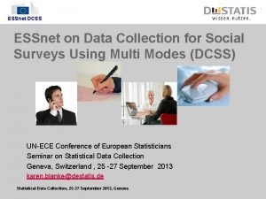 ESSnet DCSS ESSnet on Data Collection for Social