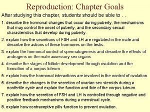 Summary of the reproductive system