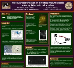 Molecular identification of Cryptosporidium species infecting Wisconsin dairy