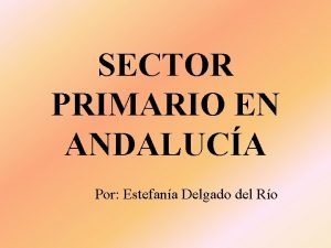SECTOR PRIMARIO EN ANDALUCA Por Estefana Delgado del