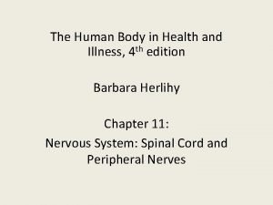 The Human Body in Health and Illness 4