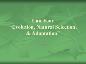Unit Four Evolution Natural Selection Adaptation Plants Terrestrial