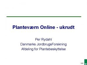 Plantevrn Online ukrudt Per Rydahl Danmarks Jordbrugs Forskning