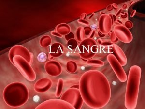 En la sangre cambaceres cuestionario