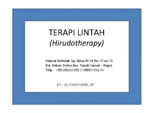 TERAPI LINTAH Hirudotherapy Alamat Bubulak Gg Bima Rt