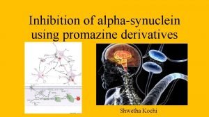 Inhibition of alphasynuclein using promazine derivatives Shwetha Kochi