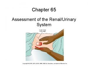 Chapter 65 Assessment of the RenalUrinary System Copyright
