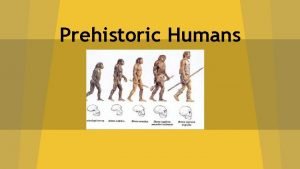 Prehistoric Humans Human Origins Scientists do not all