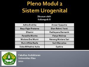 Pleno Modul 2 Sistem Urogenital Disusun oleh Kelompok