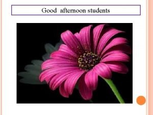 Afternoon sentence for class 1