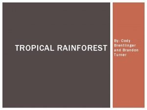 Tropical rainforest climatogram