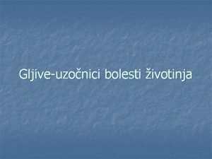 Gljiveuzonici bolesti ivotinja n n n n Postoje