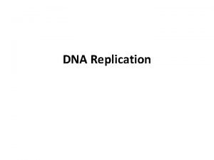 DNA Replication DNA Replication In their 1953 announcement