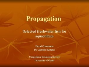 Propagation Selected freshwater fish for aquaculture David Crisostomo