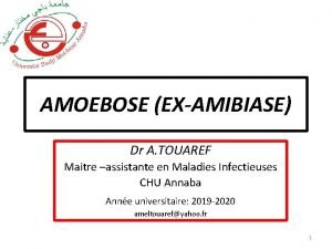 AMOEBOSE EXAMIBIASE Dr A TOUAREF Maitre assistante en