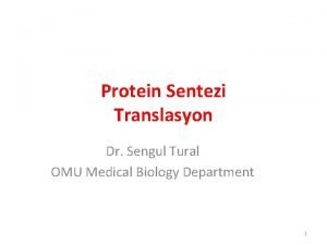 Protein Sentezi Translasyon Dr Sengul Tural OMU Medical