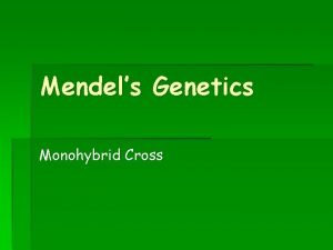 Mendels Genetics Monohybrid Cross Gregor Mendel As discussed