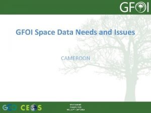 GFOI Space Data Needs and Issues CAMEROON GFOI