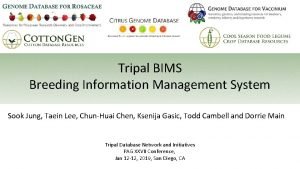 Tripal BIMS Breeding Information Management System Sook Jung