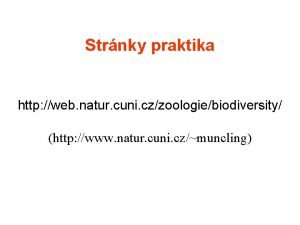 Strnky praktika http web natur cuni czzoologiebiodiversity http