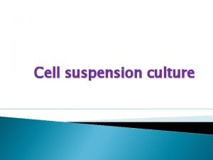 Cell suspension culture Cell suspension culture When callus