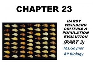 CHAPTER 23 HARDY WEINBERG CRITERIA POPULATION EVOLUTION PART